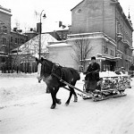 Häst och vagn med snölass och kusk