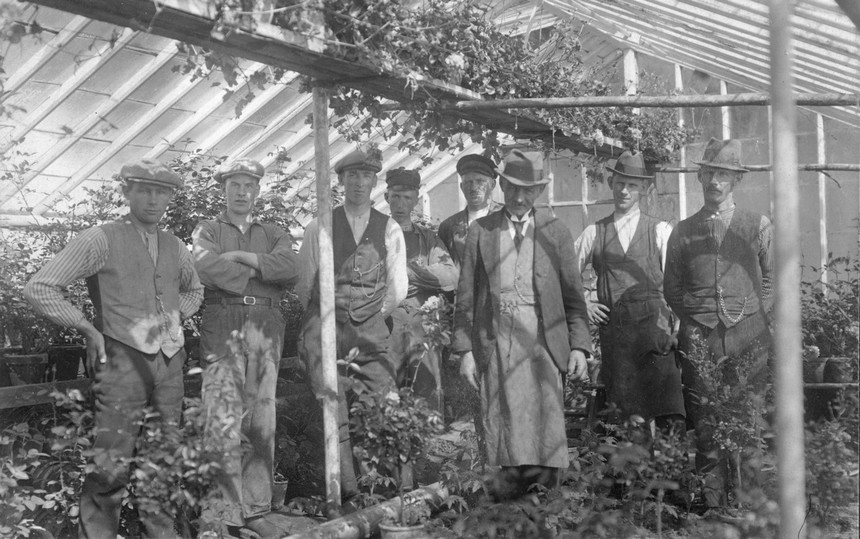 Interiör från växthus i Klintens handelsträdgård. Gruppbild med sex män