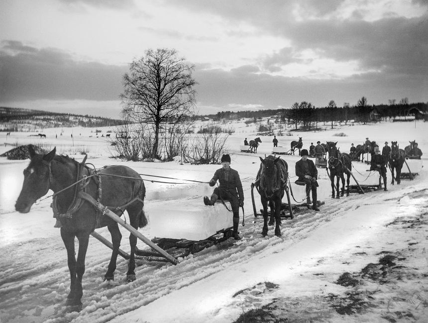 Hästar som drar kärror lastade med is